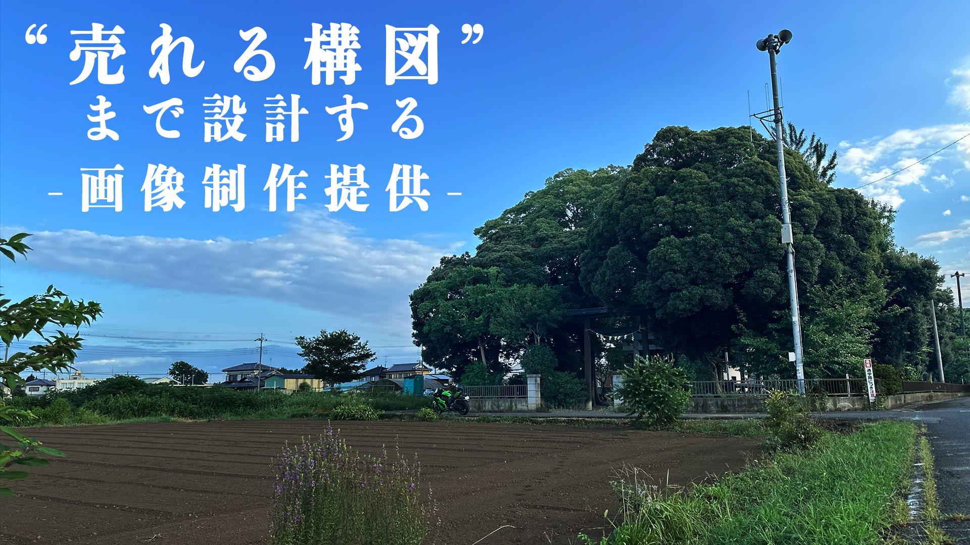 画像編集、提供を承っています。